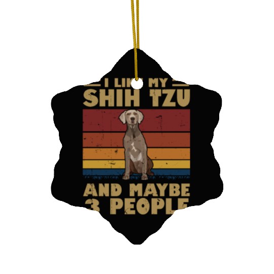 I Like My Schnauzer And Maybe 3 People Ceramic Ornaments