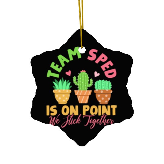 Sped Special Education Teacher Student Ceramic Ornaments