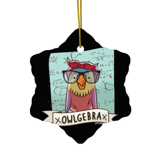 Owlgebra Owl Nerd Math Teacher Ceramic Ornaments