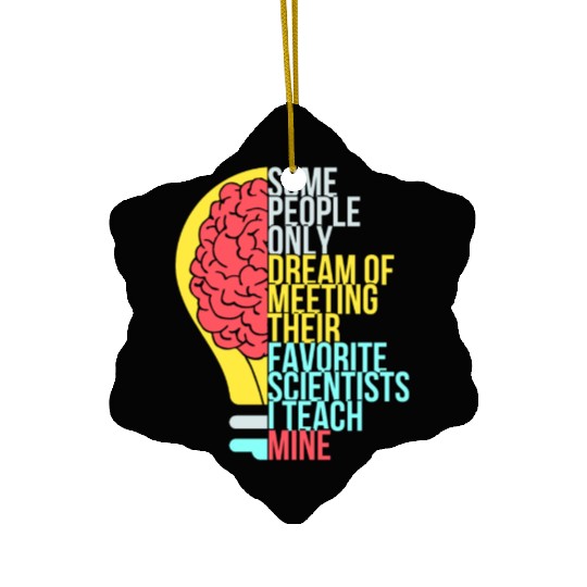 Science Teacher Funny Sayings Ceramic Ornaments