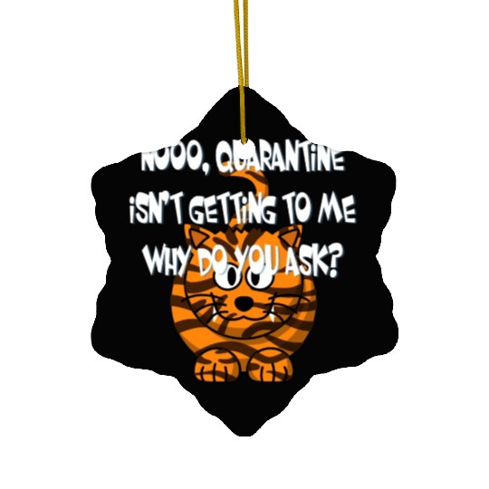 Crazy Cat Social Distancing Face Mask Funny Ceramic Ornaments