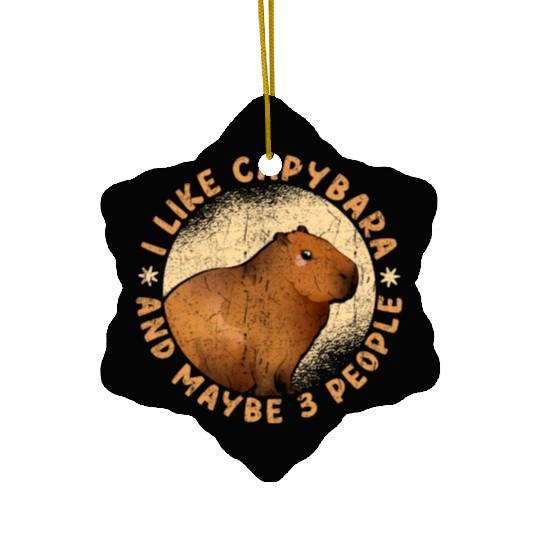 I Like Capybaras And Maybe 3 People Funny Capybara Ceramic Ornaments