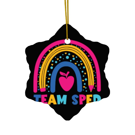 Special Education Teacher Paraprofessional Back To Ceramic Ornaments