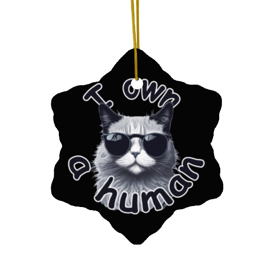 i own a human By Jonathan P. Ceramic Ornaments