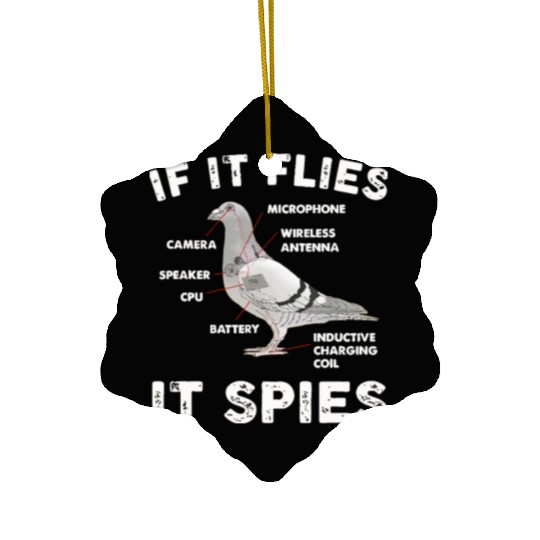 If It Flies It Spies Pigeon Anatomy Bird Aren Ceramic Ornaments