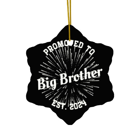 Promoted to Big Brother Baby Announcement New-born Ceramic Ornaments