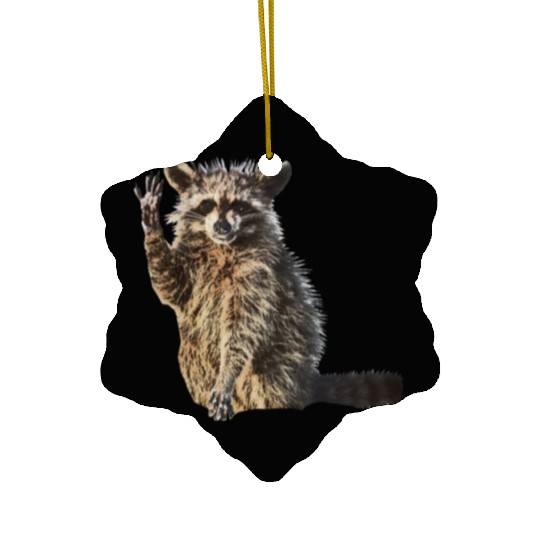 Sunny Raccoon: Happy Print Collection Ceramic Ornaments