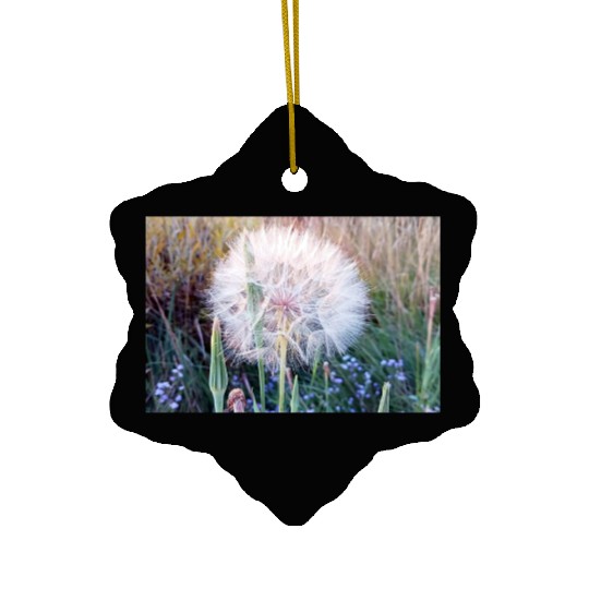 Beautiful Look at a Western Salsify #101 Ceramic Ornaments