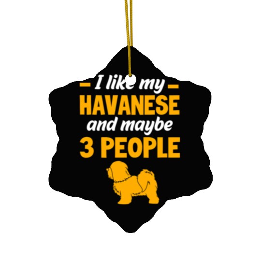 Dog And Maybe 3 People Funny Havanese Dog Lovers Ceramic Ornaments