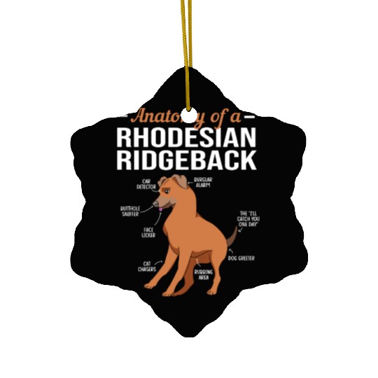 Dog Anatomy Of A Rhodesian Ridgeback Ceramic Ornaments
