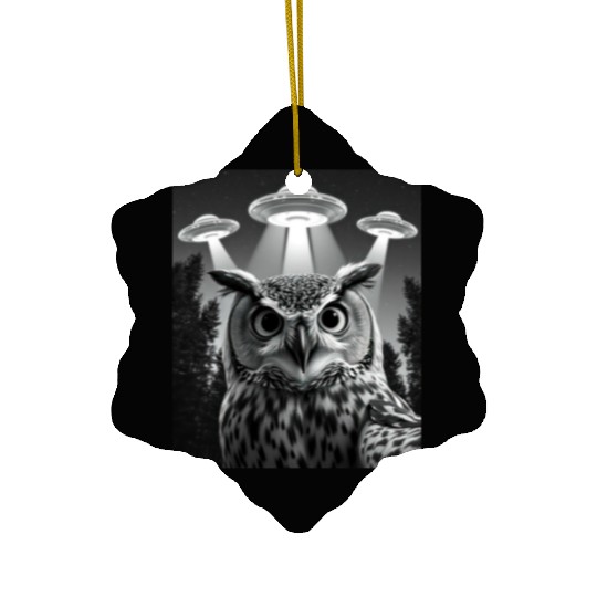 UFO Funny Owl Ceramic Ornaments