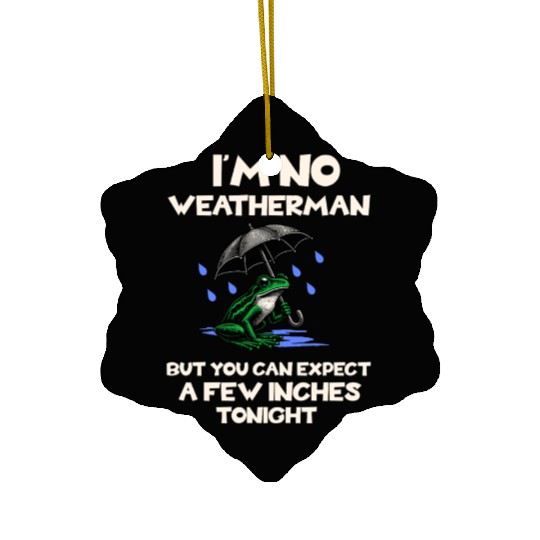 I'm No Weatherman Hilarious Weather Innuendo Quote Ceramic Ornaments