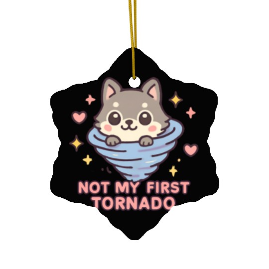 Not My First Tornado Storm Weather Meteorologist Ceramic Ornaments