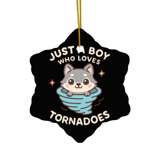 Just A Boy Who Loves Tornadoes Storm Meteorologist Ceramic Ornaments