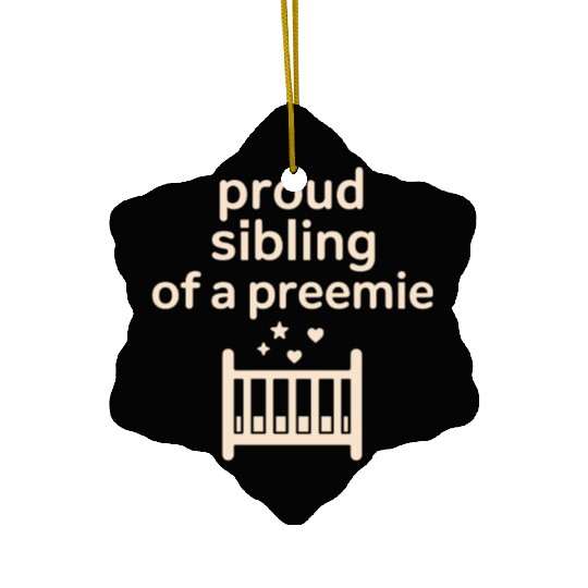 NICU Sibling Preemie Big Brother Big Sister Ceramic Ornaments