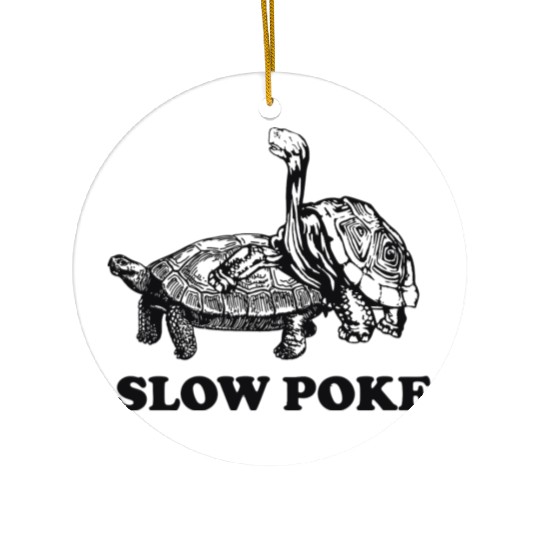 Turtles - Turtles. Slow Poke Ceramic Ornaments