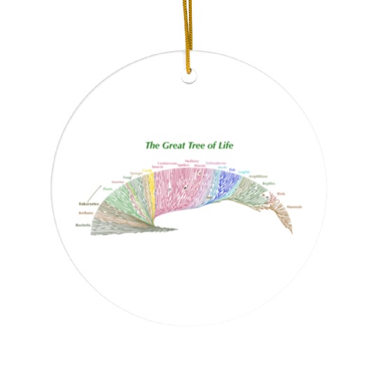 Evolution Cousin Tree of Life for Dark Garments Ceramic Ornaments