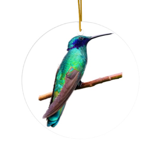 Hummingbird Ceramic Ornaments