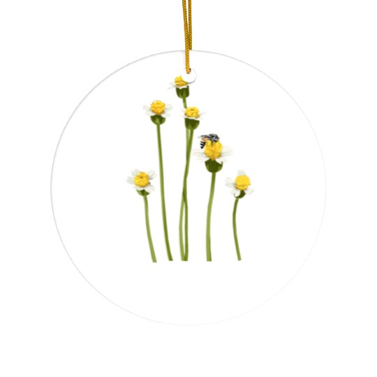 Bumble Bee Ceramic Ornaments