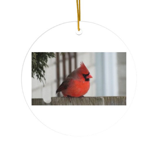 Brilliant Cardinal Bird 2 Ceramic Ornaments