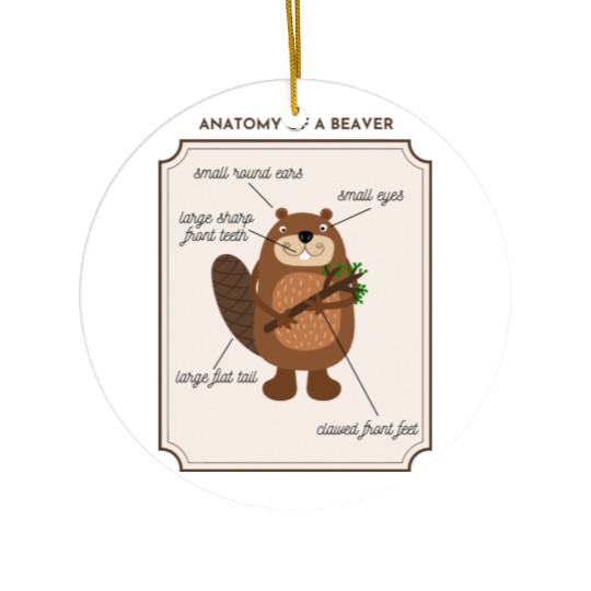 Anatomy of a Beaver Ceramic Ornaments