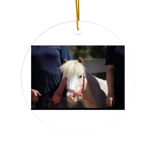 Screenshot 20220619 180220 Facebook Ceramic Ornaments