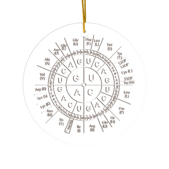 Awesome Biology Genetic Code Sun Ceramic Ornaments Science
