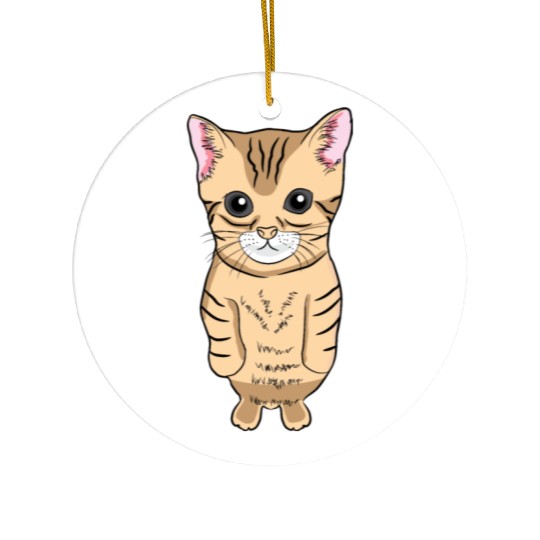 Cute Standing Cat Meme Cute Kitten Standing on Two Ceramic Ornaments