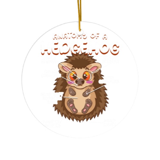 Anatomy Of A Funny Hedgehog Ceramic Ornaments