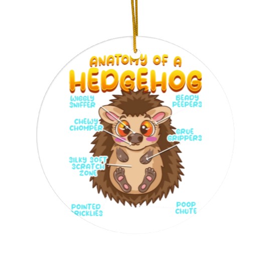 Anatomy Of A Funny Hedgehog Ceramic Ornaments