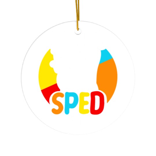 Be Nice To The Sped Teacher Special Education Cute Ceramic Ornaments