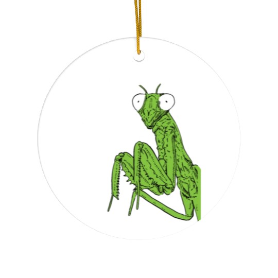 Insect Enthusiast Praying Mantis Lover Ceramic Ornaments