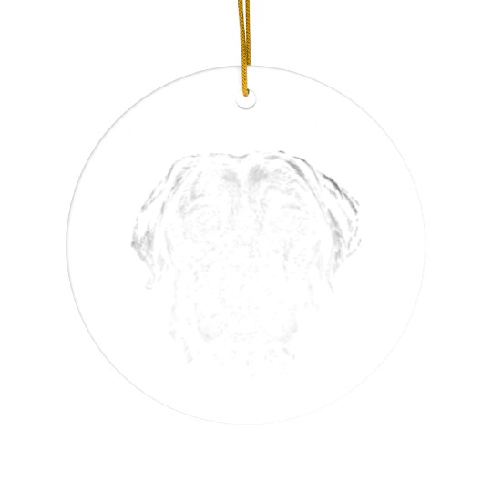 Science Lab Science Lover Biology Teacher Labrador Ceramic Ornaments