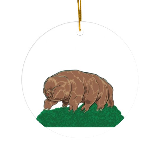 Touch As A Tardigrade Tardigrade Ceramic Ornaments