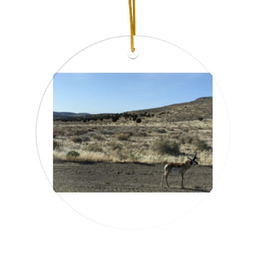 Antelope near Grand Canyon West Ceramic Ornaments