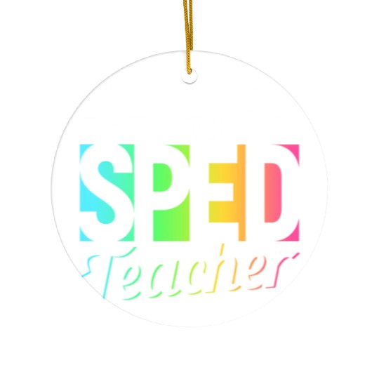 Be Nice To The Sped Teacher Special Education Cute Ceramic Ornaments