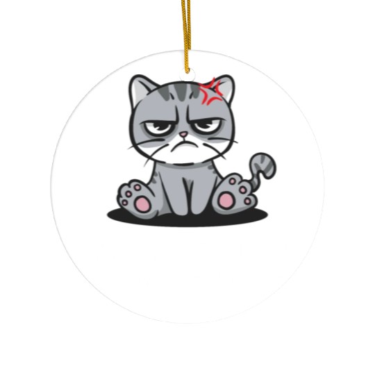 My Alone Time Is for Everyones Safety Sarcastic Fu Ceramic Ornaments