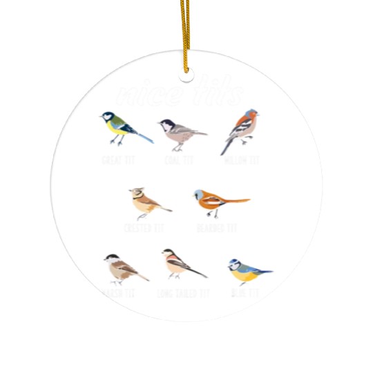 Funny Nice Tits Birdwatching Bird Watching Birding Ceramic Ornaments