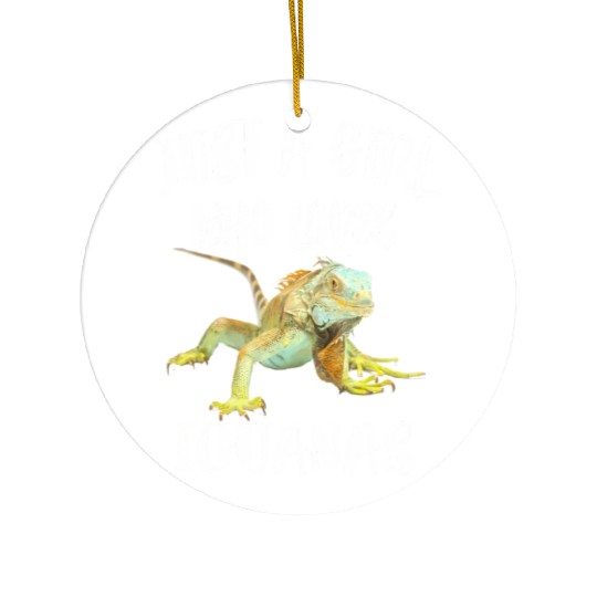 Just A Girl Who Loves Iguanas Reptile Pet Lover Ceramic Ornaments