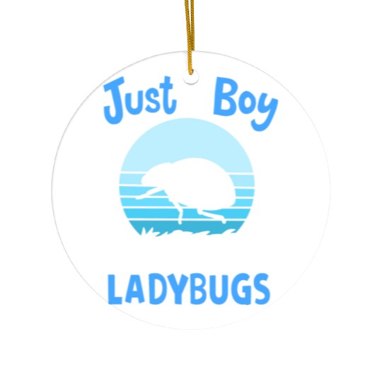 Ladybug Insect Ladybug Lover Retro Ceramic Ornaments