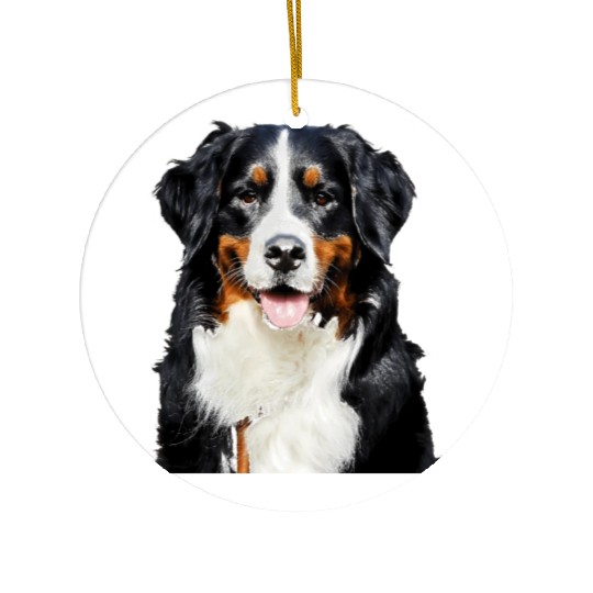 Portrait Of Bernese Mountain Dog Ceramic Ornaments