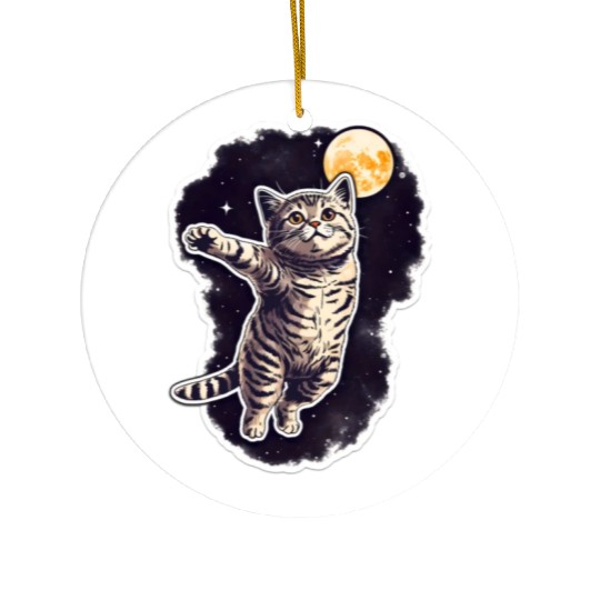 Space cat Ceramic Ornaments