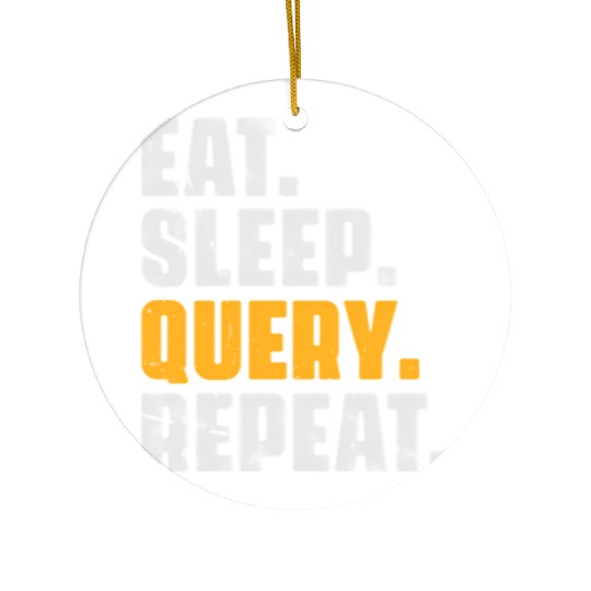 Eat Sleep Query Repeat Computer Coding Database Ceramic Ornaments