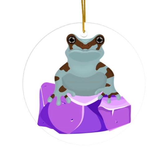 Frog Crystal Amethyst Gemstone For Toad Owners Ceramic Ornaments