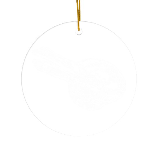 Wittgenstein Rabbit Duck Philosopher Optical Illus Ceramic Ornaments