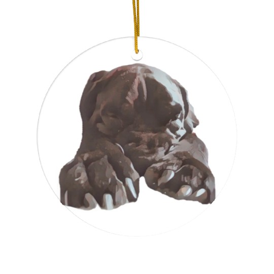 Cane corso in its natural sleeping environment Ceramic Ornaments