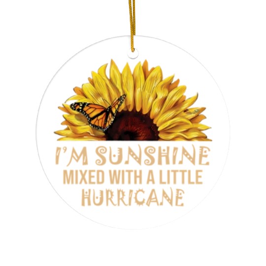 I'M Sunshine Mixed With Little Hurricane Ceramic Ornaments