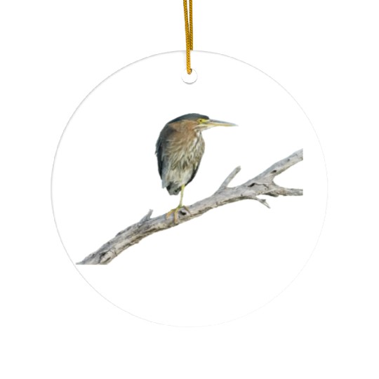 Green Heron Ceramic Ornaments