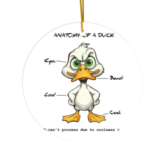 Duck Anatomy Ceramic Ornaments