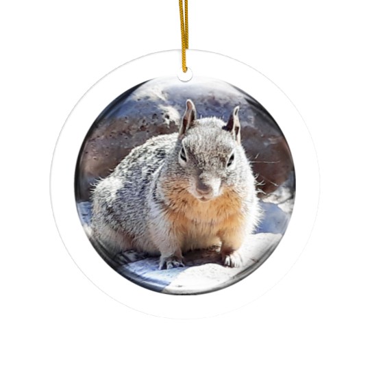 Life In a Bubble Collection- Grand Canyon Squirrel Ceramic Ornaments